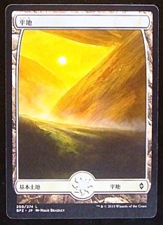 MTG マジック：ザ・ギャザリング ギャザ 平地 基本土地 ゼンディカーの夜明け ZNR-266 日本語版 基本土地 土地 : znr-266-c :  カードミュージアム Yahoo!店 - 通販 - Yahoo!ショッピング