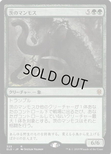 画像1: 【エルドレインの王権 コレクター・ブースター レア】茨のマンモス　323 (1)