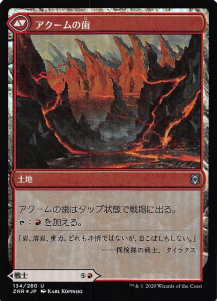 画像2: 【ゼンディカーの夜明け アンコモン FOIL】アクームの戦士/アクームの歯 134/280 (2)