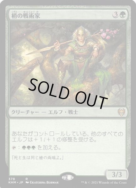 画像1: 【カルドハイム レア】梢の戦術家　378 (1)