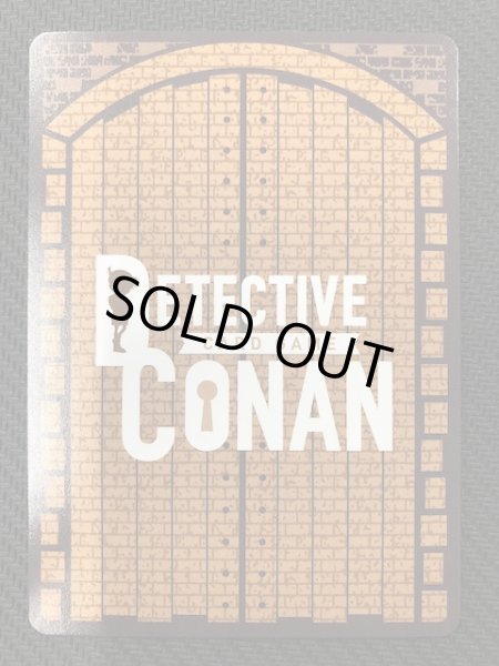 画像3: 【新たなる謎 MRCP】江戸川コナン＆工藤新一　ID［0511］ (3)