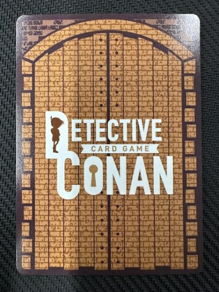 画像2: 【交錯する刃 MRCP】毛利蘭＆江戸川コナン　0628 (2)