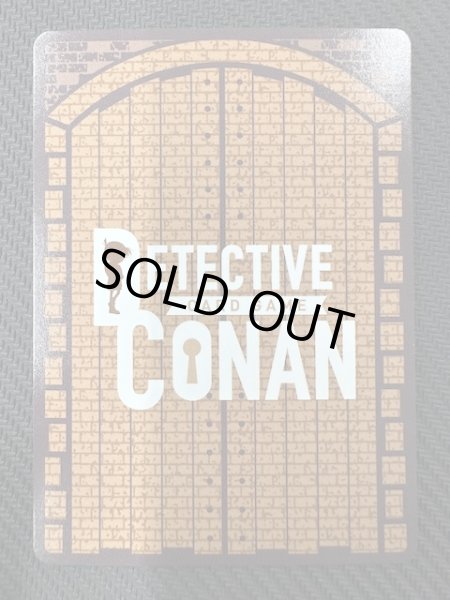 画像2: 【交錯する刃 MRCP】毛利蘭＆江戸川コナン　0628 (2)