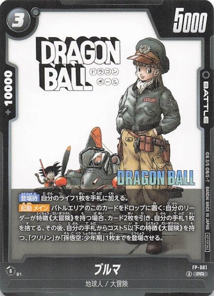 画像1: 【プロモ】ブルマ　FP-061 (1)