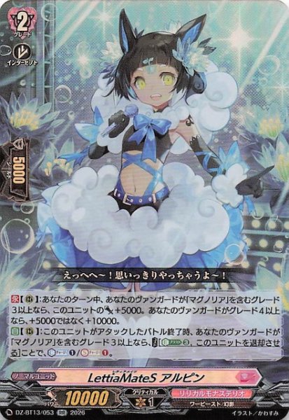 画像1: 【RR】LettiaMateS アルピン　DZ-BT13/053 (1)