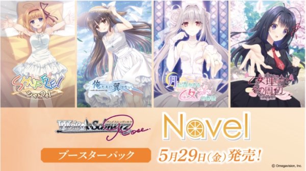 画像1: 予約 ブシロード ヴァイスシュヴァルツロゼ ブースターパック Navel 1BOX（10パック) (1)