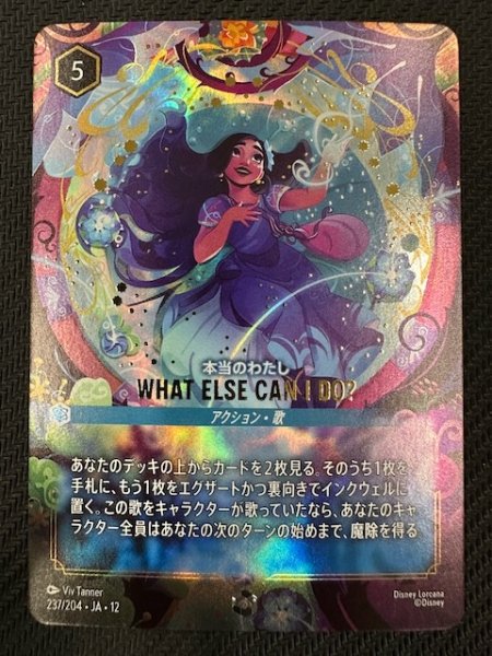 画像1: 【未知なる彼方へ！ エンチャンテッド】本当のわたし WHAT ELSE CAN I DO?　237/204 (1)