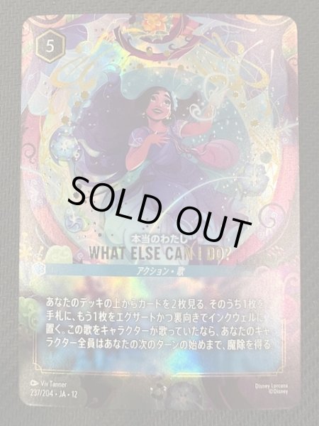 画像1: 【未知なる彼方へ！ エンチャンテッド】本当のわたし WHAT ELSE CAN I DO?　237/204 (1)