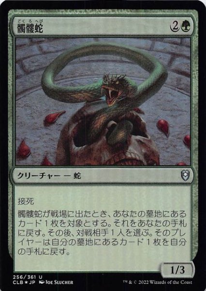 画像1: 【FOIL 統率者レジェンズ：バルダーズ・ゲートの戦い アンコモン】髑髏蛇　256/361 (1)
