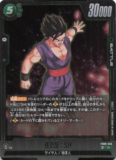 DUAL EVOLUTION レア】孫悟飯：SH FB09-059 - マナソース