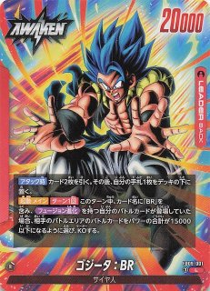 スーパーパラレル DUAL EVOLUTION リーダーカード】ゴジータ：BR FB09