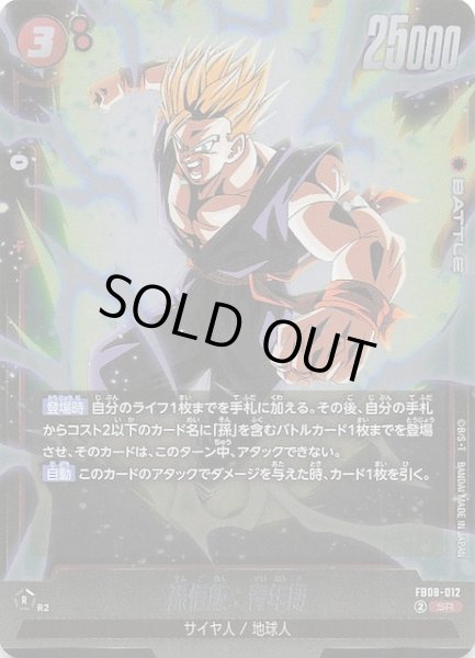 画像1: 【誇り高き戦闘民族 スーパーレア】孫悟飯：青年期　FB08-012 (1)