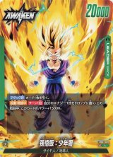 ドラゴンボール】覚醒の鼓動 孫悟飯:少年期 リーダーパラレル FB01-071