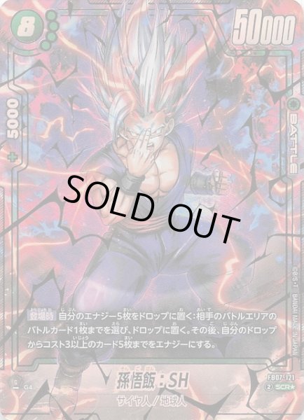 パラレル 神龍への願い シークレットレア】孫悟飯：SH FB07-121