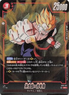パラレル STORY BOOSTER 01 レア】孫悟天/孫悟飯：青年期 ST01-008