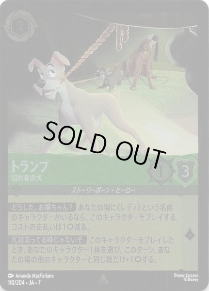 画像1: 【フォイル アーケイジアと魔法の島 レア】トランプ 切れ者の犬　110/204・JA・7 (1)