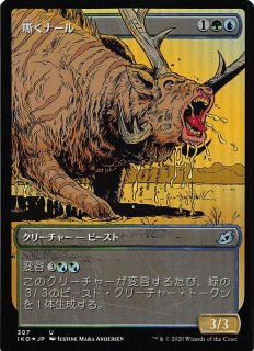 買取相場一覧】MtG｜【IKO】イコリア：巨獣の棲処のカード一覧