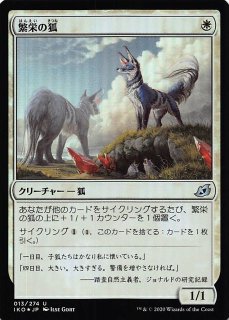 ご確認用】エルドレインの王権 eld 呪われた狩人、ガラク 日本語 1枚