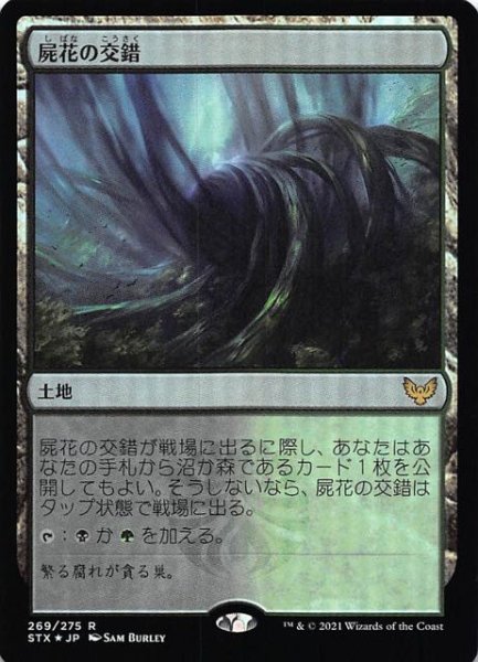 画像1: 【ストリクスヘイヴン：魔法学院 レア　FOIL】屍花の交錯　269/275 (1)