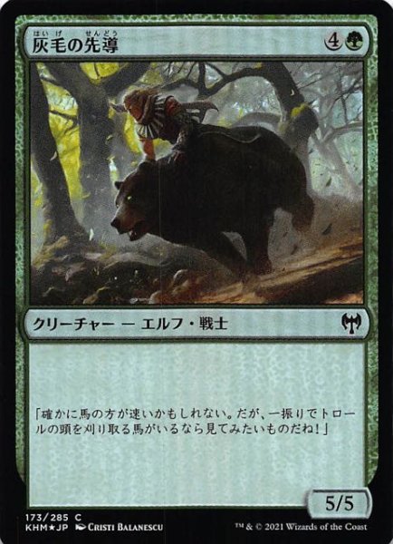 画像1: 【カルドハイム コモン　FOIL】灰毛の先導　173/285 (1)