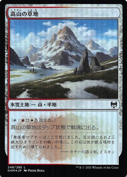 画像1: 【カルドハイム コモン　FOIL】高山の草地　248/285 (1)