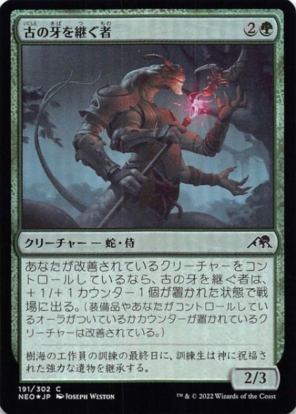 画像1: 【FOIL 神河：輝ける世界 コモン】古の牙を継ぐ者　191/302 (1)