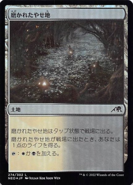 画像1: 【FOIL 神河：輝ける世界 コモン】磨かれたやせ地　274/302 (1)