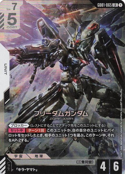 画像1: 【Newtype Rising レジェンドレア】フリーダムガンダム　GD01-065 (1)