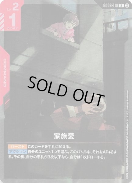 画像1: 【Stardust Trails レア】家族愛　GD06-110 (1)