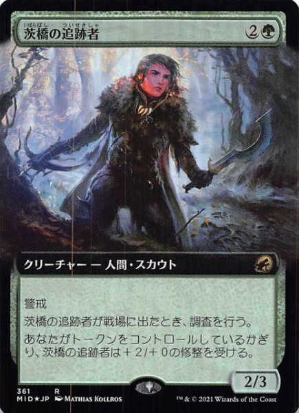 画像1: 【FOIL イニストラード：真夜中の狩り レア 拡張アート版】茨橋の追跡者　361 (1)