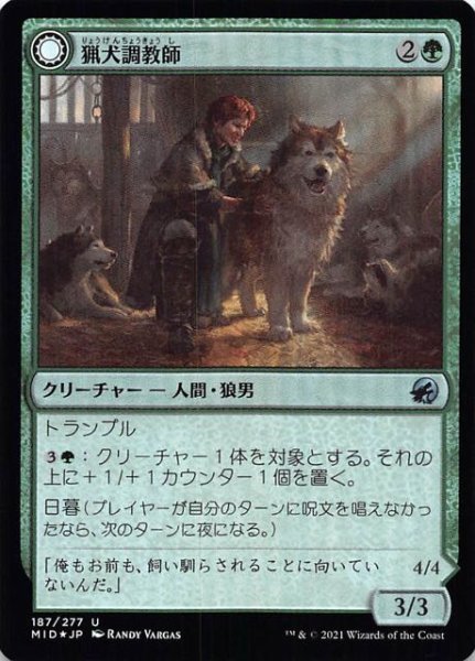 画像1: 【FOIL イニストラード：真夜中の狩り アンコモン】猟犬調教師/調教されていない仔狼　187/277 (1)