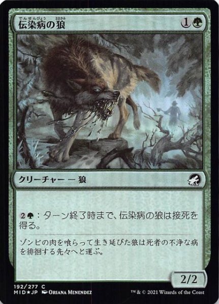 画像1: 【FOIL イニストラード：真夜中の狩り コモン】伝染病の狼　192/277 (1)