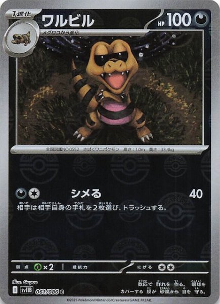 画像1: 【ミラー仕様 ブラックボルト C】ワルビル　061/086 (1)