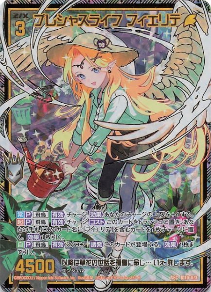 画像1: 【SEC】プレシャスライフ フィエリテ　IG10-073 (1)