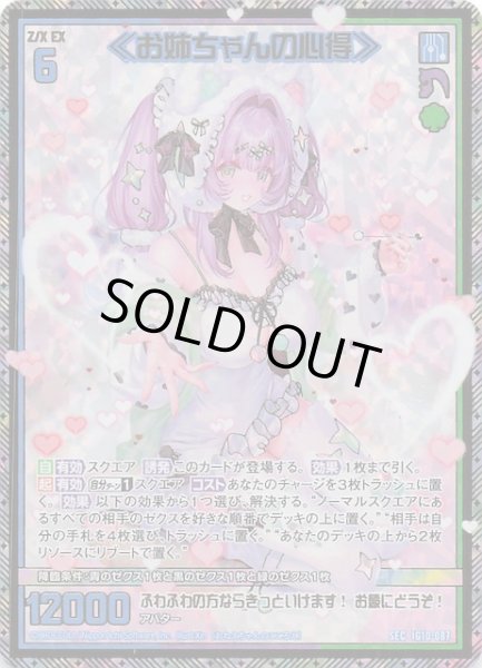 画像1: 【SEC】≪お姉ちゃんの心得≫　IG10-087 (1)