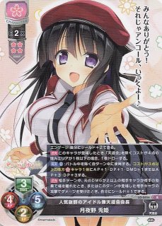 スーパーレア】ドSな名門貴族令嬢 エルマリート・ド・ブランシュ