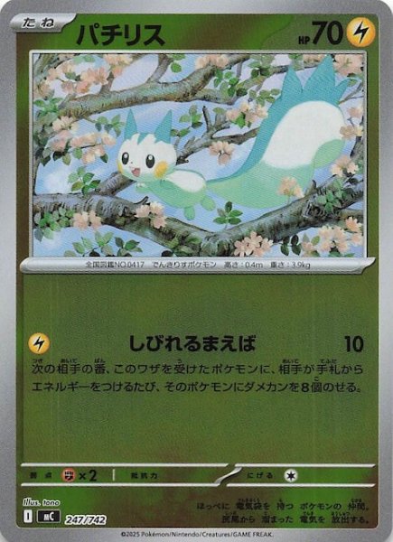 画像1: 【ミラー仕様 スタートデッキ100 バトルコレクション】パチリス　247/742 (1)