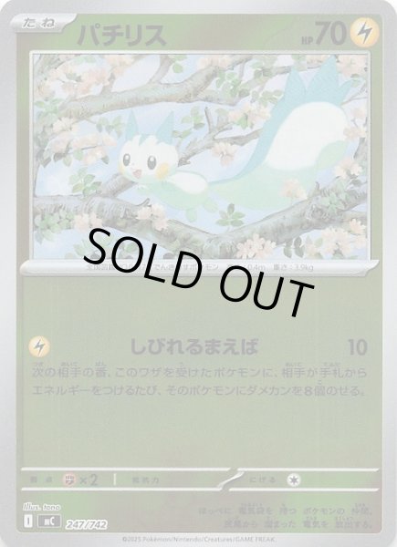 画像1: 【ミラー仕様 スタートデッキ100 バトルコレクション】パチリス　247/742 (1)