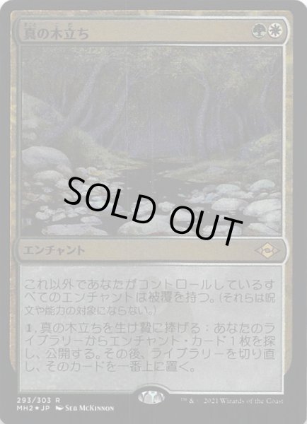 画像1: 【モダンホライゾン２ レア　エッチング・フォイル】真の木立ち　293/303 (1)
