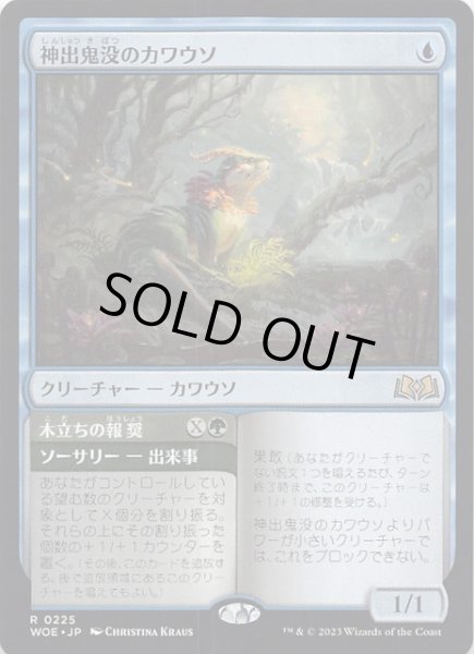 画像1: 【エルドレインの森 レア】神出鬼没のカワウソ　0225 (1)