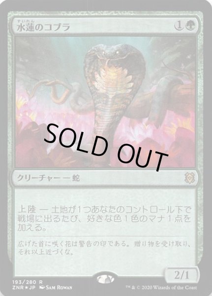 画像1: 【ゼンディカーの夜明け レア　FOIL】水蓮のコブラ　193/280 (1)