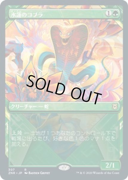 画像1: 【ゼンディカーの夜明け レア　ショーケース版】水蓮のコブラ 307 (1)