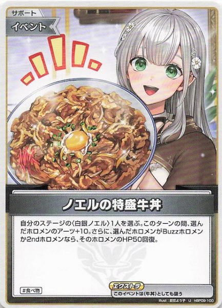画像1: 【ボリュームヴォルテックス U】ノエルの特盛牛丼　hBP09-100 (1)