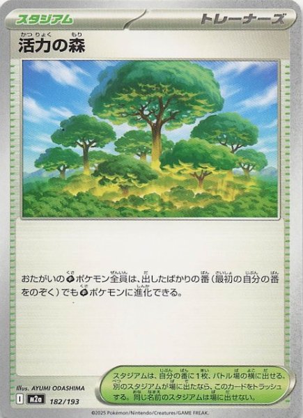 画像1: 【MEGAドリームex】活力の森　182/193 (1)