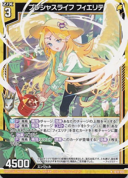 画像1: 【N】プレシャスライフ フィエリテ　IG10-003 (1)