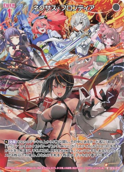 画像1: 【再録R】ネクサス・フロンティア　IG14-070 (1)