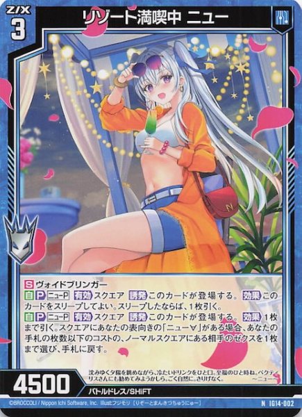 画像1: 【N】リゾート満喫中 ニュー　IG14-002 (1)
