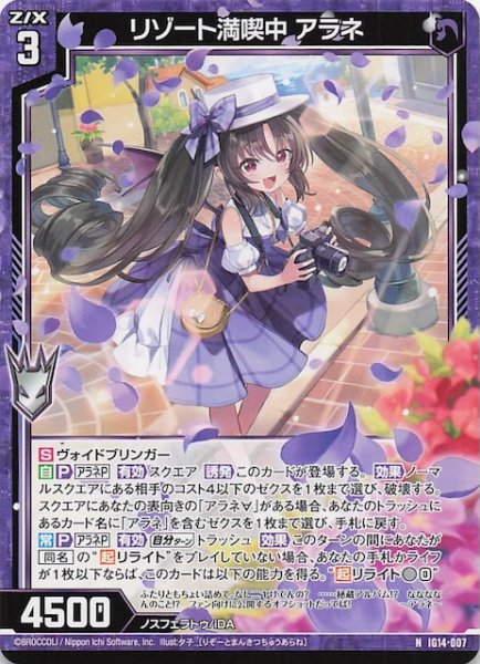画像1: 【N】リゾート満喫中 アラネ　IG14-007 (1)