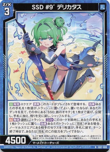 画像1: 【N】SSD #9’ デリカタス　IG07-009 (1)
