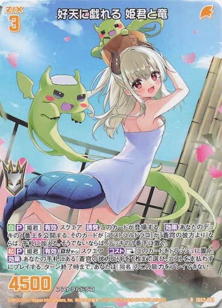画像1: 【再録R】好天に戯れる 姫君と竜　IG02-061 (1)